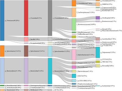 Gut and Vagina Microbiota Associated With Estrus Return of Weaning Sows and Its Correlation With the Changes in Serum Metabolites